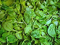 Al Arabiya (ОАЭ): зеленые листья хранят секрет «железного здоровья» - «Общество»