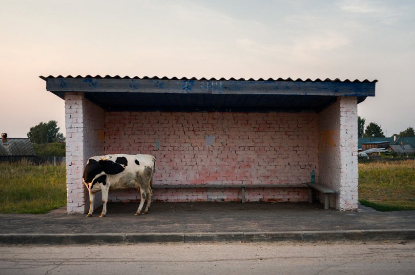 Недоразвитые институты развития - «Новости - Энергетики»