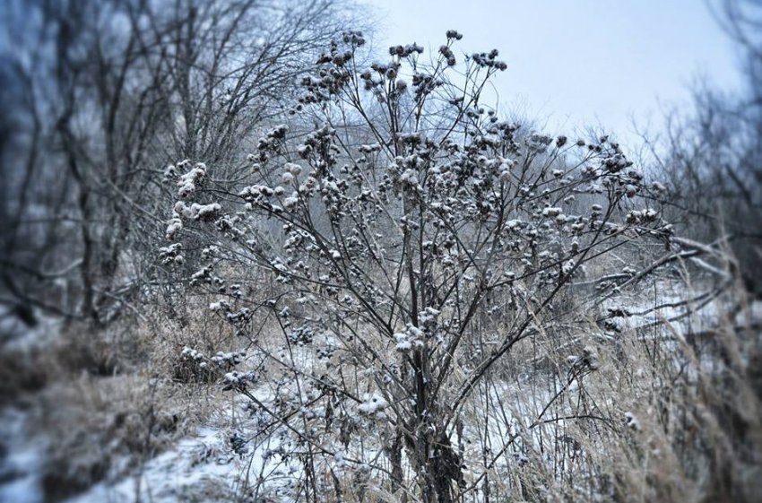 Потребление электроэнергии в энергосистеме Калининградской области в январе 2021 года - «Новости - Энергетики»