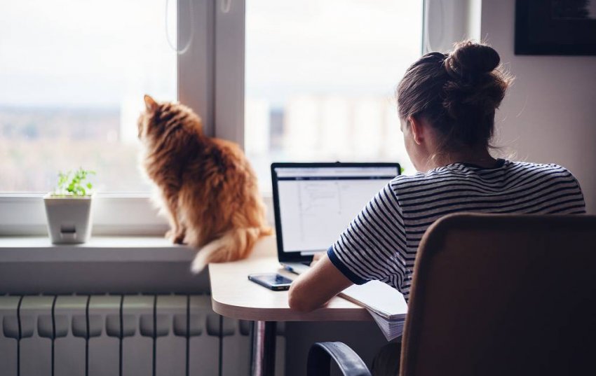 Потребление электроэнергии в ОЭС Сибири в январе 2021 года - «Новости - Энергетики»