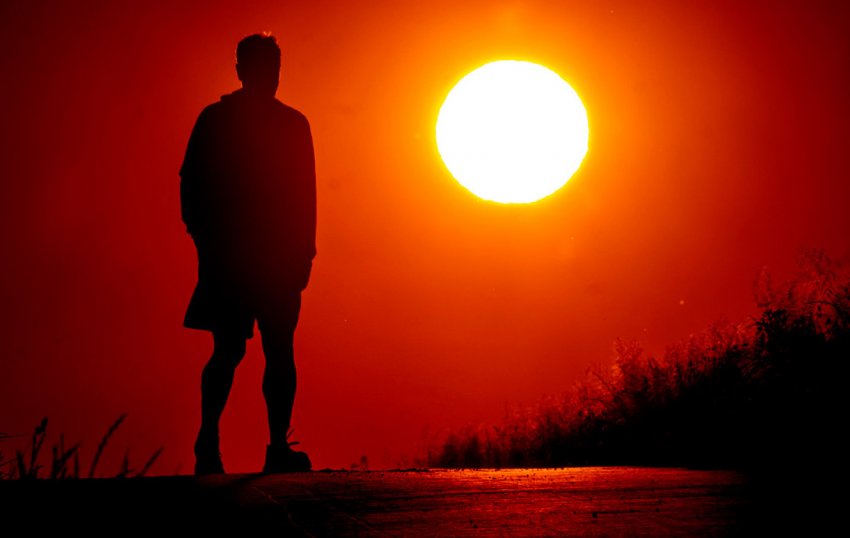 «Т Плюс» увеличила выработку электроэнергии в первом полугодии 2024 года - «Новости - Энергетики»